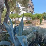 Stiz By The Sea With An Organized *