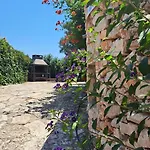 Stiz By The Sea With An Organized Apartment Betina (Sibenik-Knin)