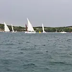 Stiz By The Sea With An Organized