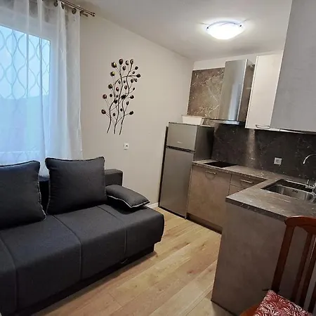 Stiz By The Sea With An Organized Betina