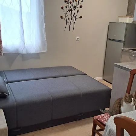 Stiz By The Sea With An Organized Apartment Betina (Sibenik-Knin)