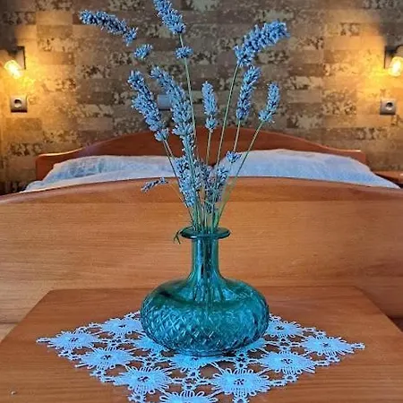 Apartman Stiz By The Sea With An Organized