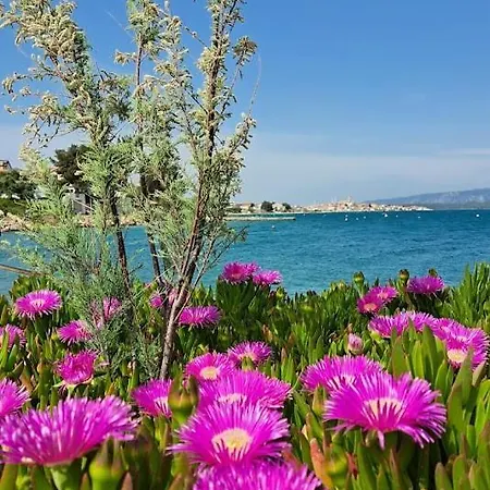 Apartman Stiz By The Sea With An Organized