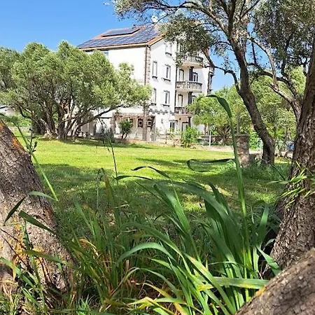 Apartman Stiz By The Sea With An Organized *