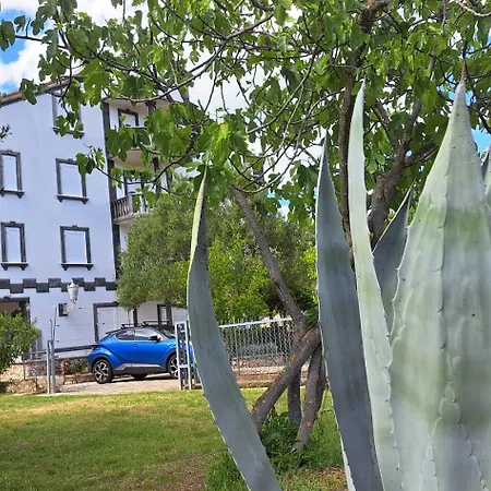 Stiz By The Sea With An Organized