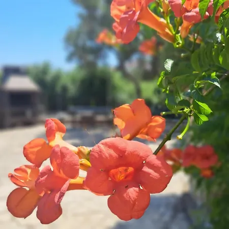 Stiz By The Sea With An Organized Apartman *