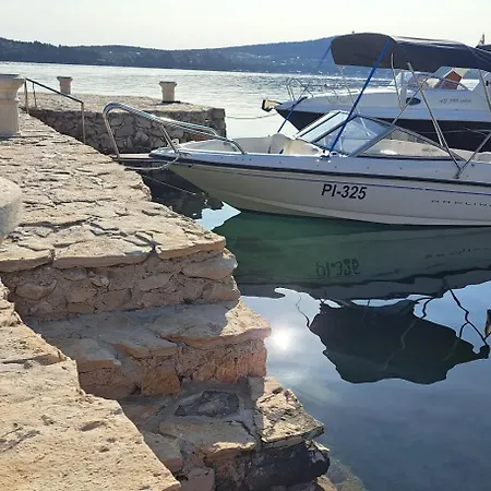 Stiz By The Sea With An Organized