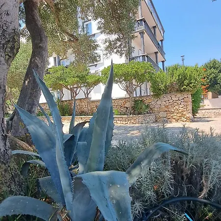 Stiz By The Sea With An Organized *