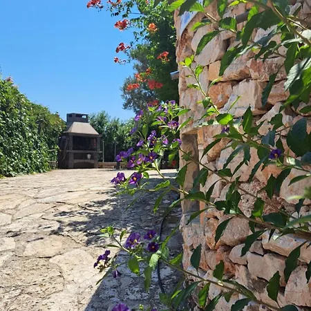 Stiz By The Sea With An Organized Apartment Betina (Sibenik-Knin)