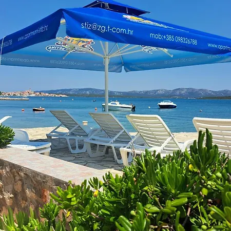 Stiz By The Sea With An Organized