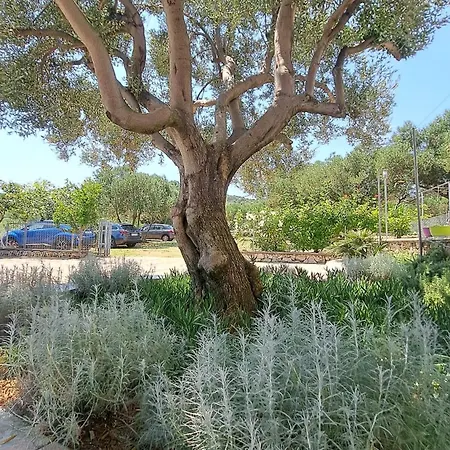 Apartman Stiz By The Sea With An Organized *