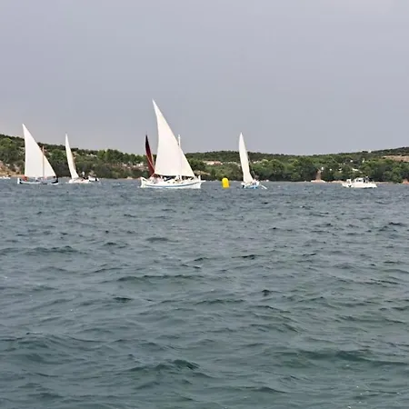 Stiz By The Sea With An Organized