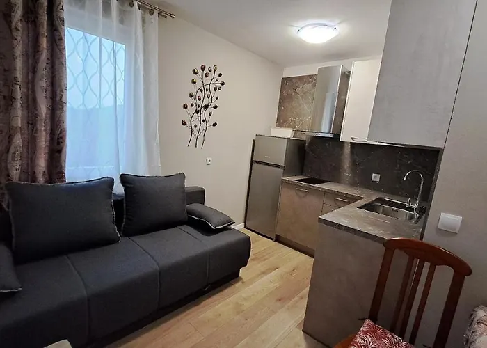 Stiz By The Sea With An Organized 베티나