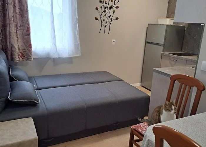 Stiz By The Sea With An Organized Apartamento Betina (Sibenik-Knin)