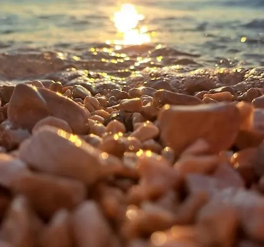 Apartamento Stiz By The Sea With An Organized