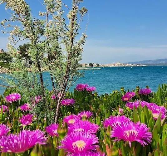 Апартаменты Stiz By The Sea With An Organized