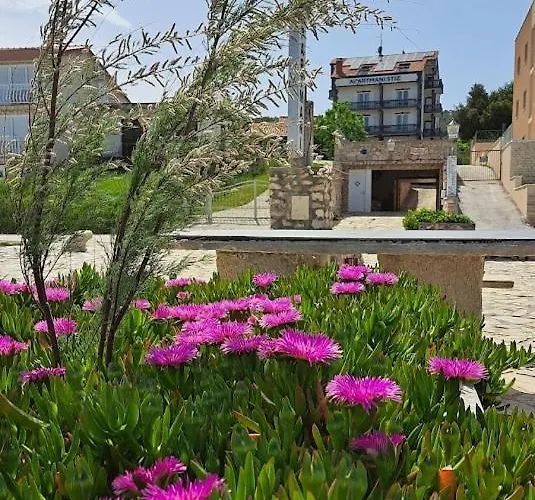 Stiz By The Sea With An Organized Betina (Sibenik-Knin)