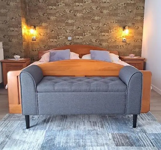 Stiz By The Sea With An Organized