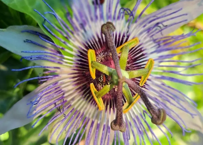 Appartamento Stiz By The Sea With An Organized