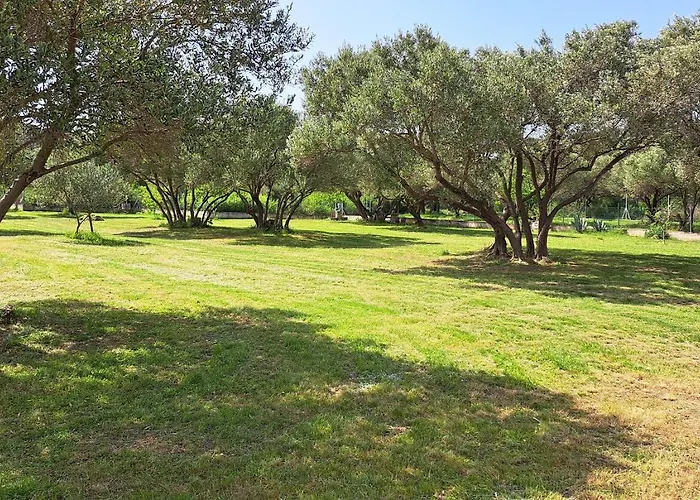 Stiz By The Sea With An Organized