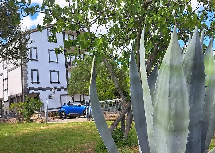 Stiz By The Sea With An Organized