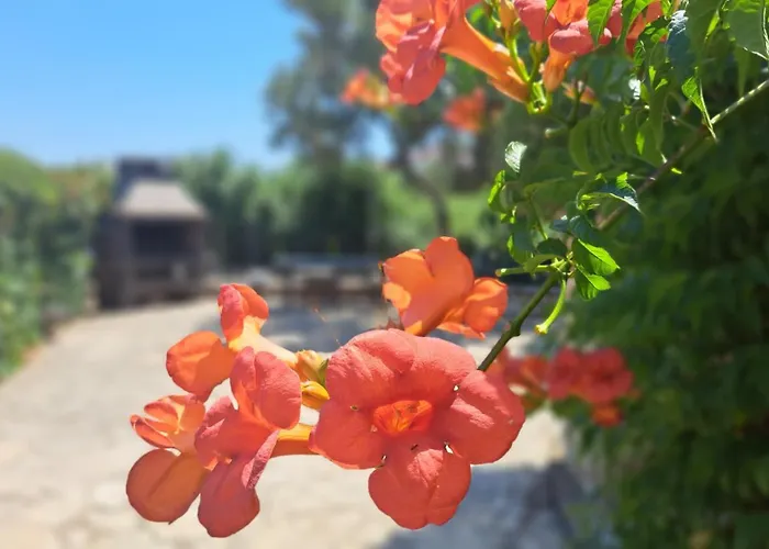 Stiz By The Sea With An Organized Apartamento *