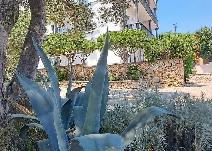 Stiz By The Sea With An Organized *