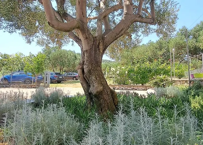 Апартаменты Stiz By The Sea With An Organized *